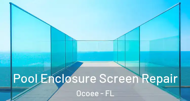  Pool Enclosure Screen Repair Ocoee - FL