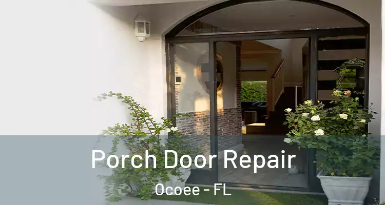  Porch Door Repair Ocoee - FL