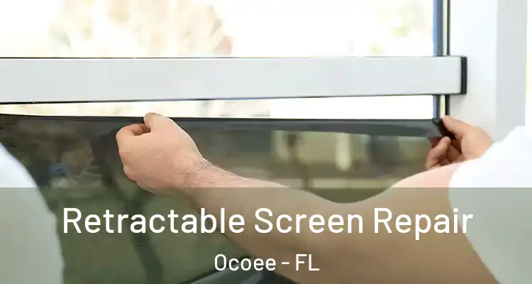  Retractable Screen Repair Ocoee - FL