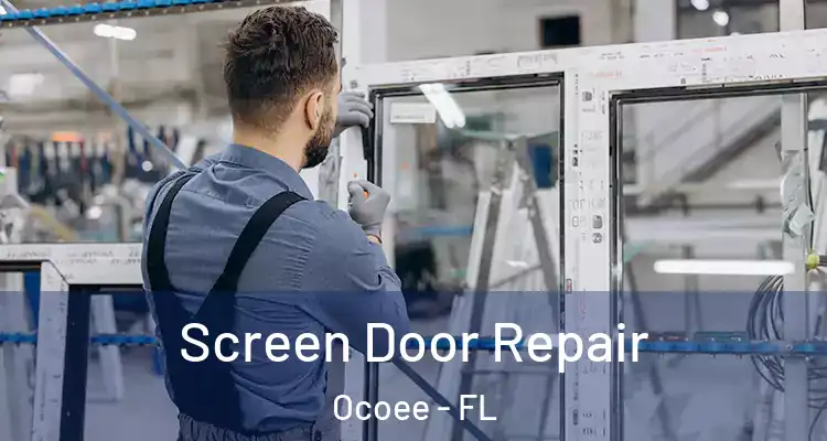  Screen Door Repair Ocoee - FL