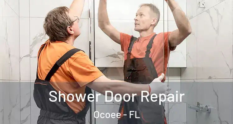  Shower Door Repair Ocoee - FL