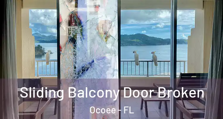 Sliding Balcony Door Broken Ocoee - FL