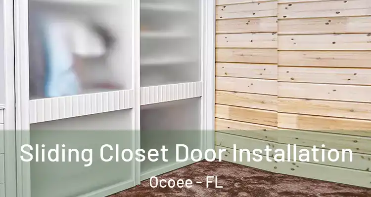  Sliding Closet Door Installation Ocoee - FL