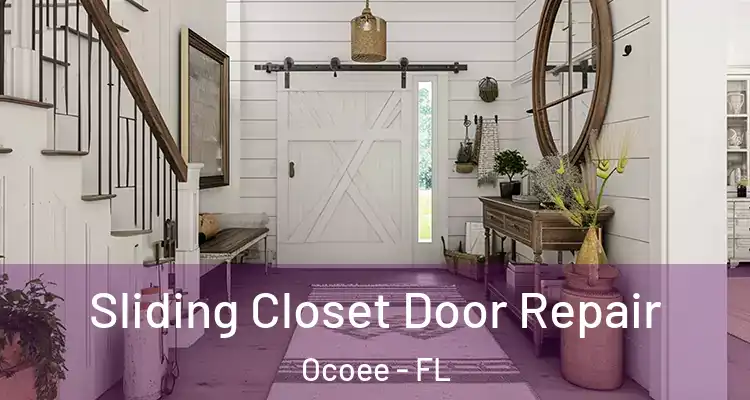  Sliding Closet Door Repair Ocoee - FL