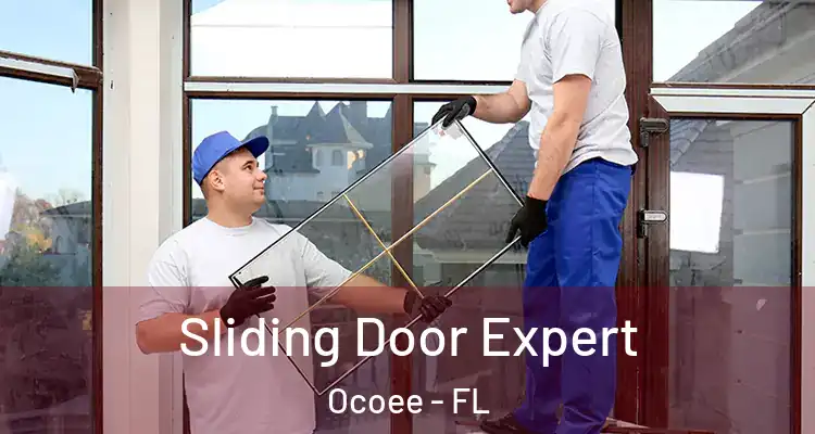  Sliding Door Expert Ocoee - FL