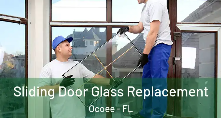  Sliding Door Glass Replacement Ocoee - FL