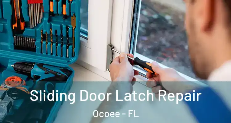 Sliding Door Latch Repair Ocoee - FL