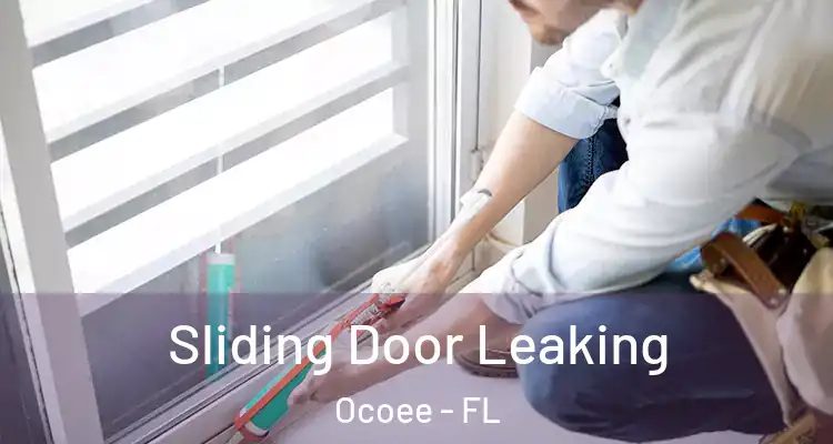  Sliding Door Leaking Ocoee - FL