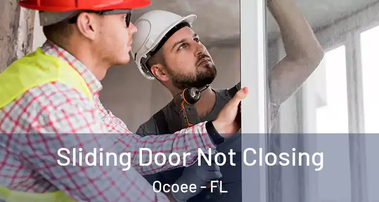  Sliding Door Not Closing Ocoee - FL