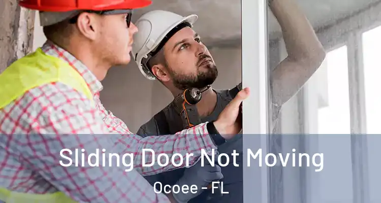  Sliding Door Not Moving Ocoee - FL