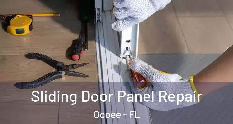  Sliding Door Panel Repair Ocoee - FL