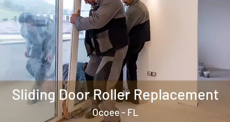  Sliding Door Roller Replacement Ocoee - FL