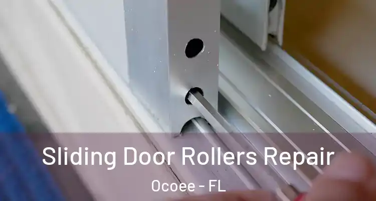  Sliding Door Rollers Repair Ocoee - FL