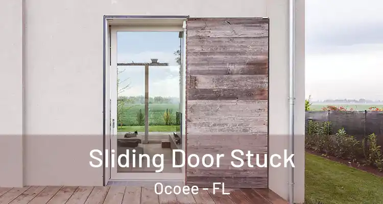  Sliding Door Stuck Ocoee - FL