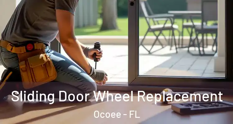  Sliding Door Wheel Replacement Ocoee - FL