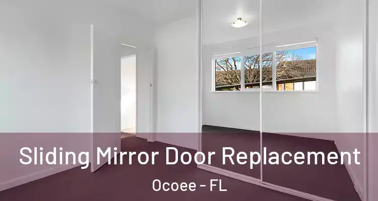  Sliding Mirror Door Replacement Ocoee - FL
