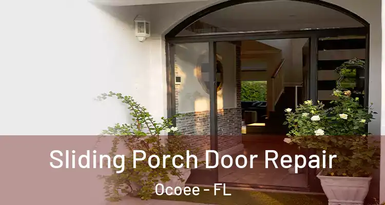  Sliding Porch Door Repair Ocoee - FL