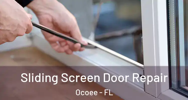  Sliding Screen Door Repair Ocoee - FL