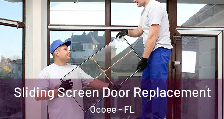  Sliding Screen Door Replacement Ocoee - FL