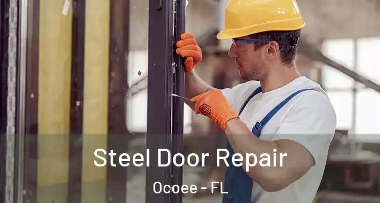  Steel Door Repair Ocoee - FL
