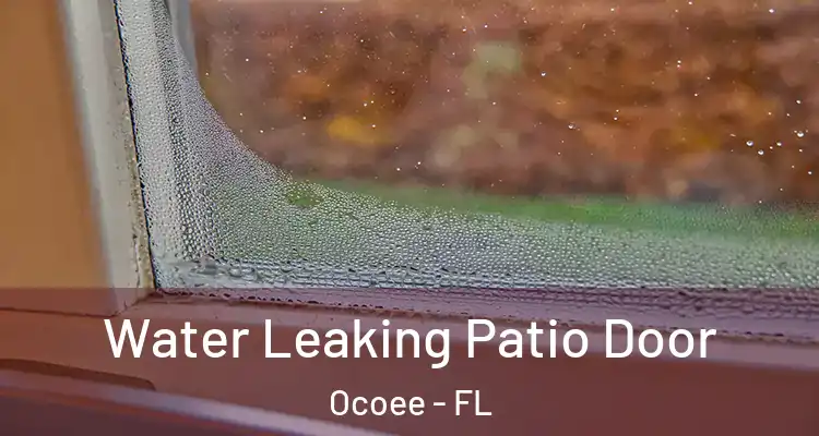  Water Leaking Patio Door Ocoee - FL