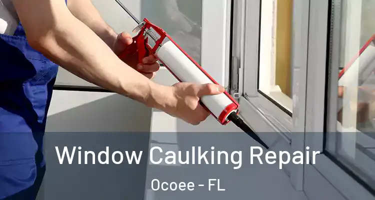  Window Caulking Repair Ocoee - FL