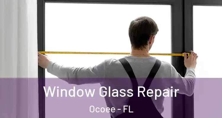  Window Glass Repair Ocoee - FL