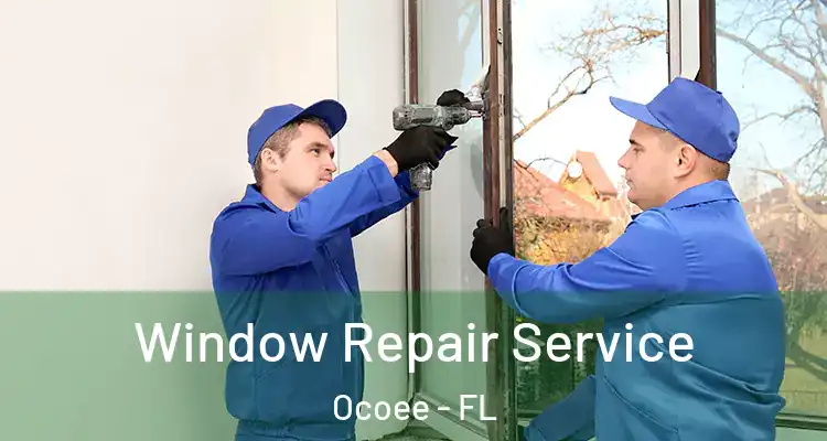  Window Repair Service Ocoee - FL