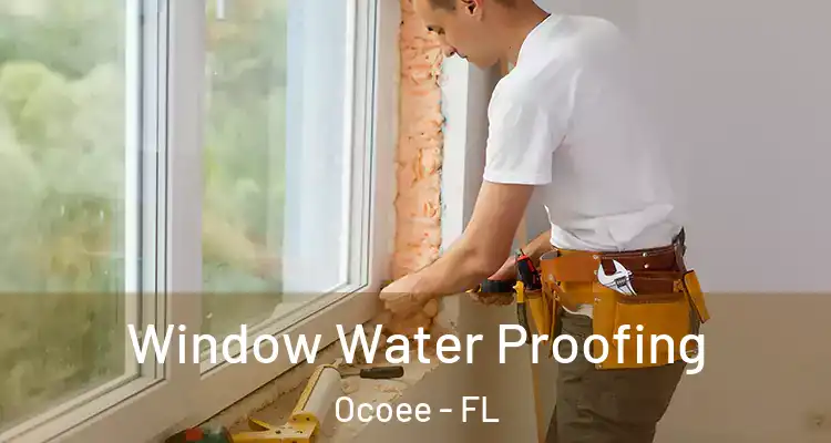  Window Water Proofing Ocoee - FL