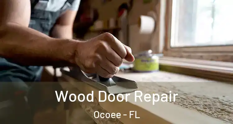  Wood Door Repair Ocoee - FL